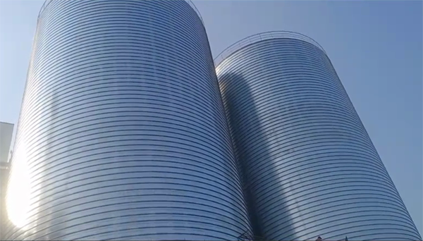 驿城2座混凝土高架卷板仓